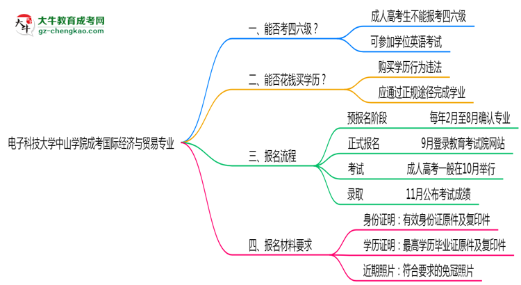 電子科技大學(xué)中山學(xué)院2025年成考國際經(jīng)濟(jì)與貿(mào)易專業(yè)生可不可以考四六級(jí)？思維導(dǎo)圖