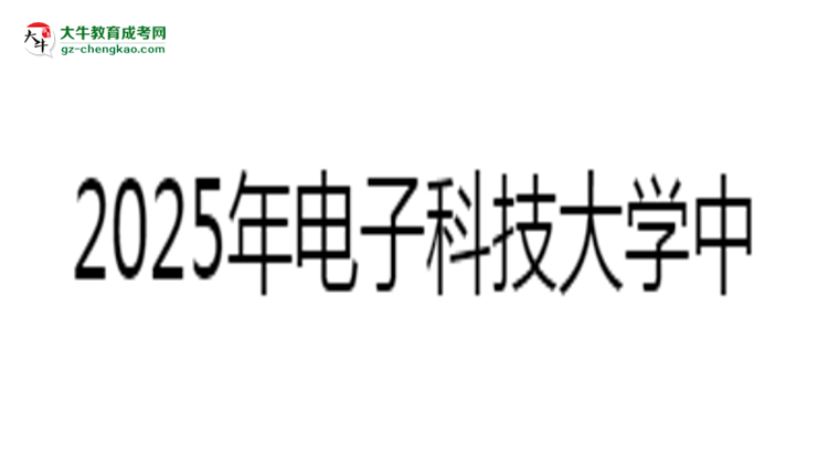 2025年電子科技大學中山學院成考計算機科學與技術專業(yè)能拿學位證嗎？思維導圖