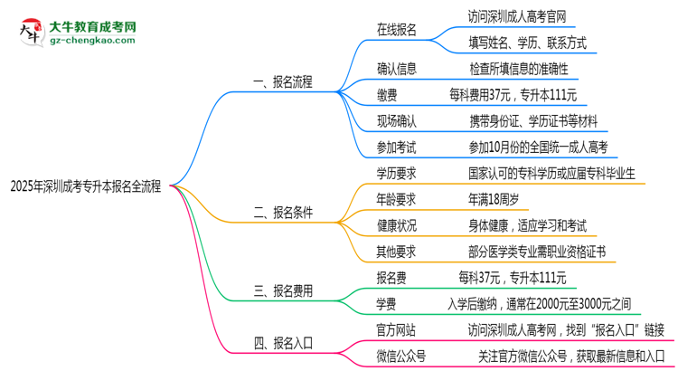 3分鐘讀懂：2025深圳成考專升本本科報名全流程思維導(dǎo)圖