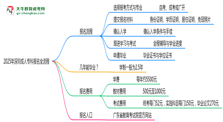 3分鐘讀懂：2025深圳成人?？票究茍竺鞒趟季S導(dǎo)圖