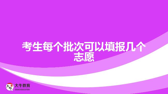 考生每個(gè)批次可以填報(bào)幾個(gè)志愿