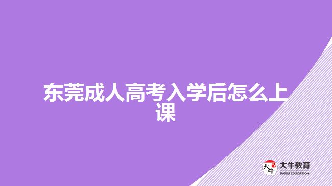 東莞成人高考入學后怎么上課