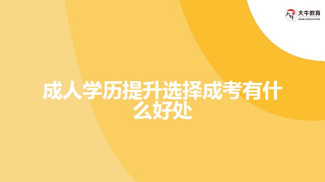 成人學(xué)歷提升選擇成考有什么好處