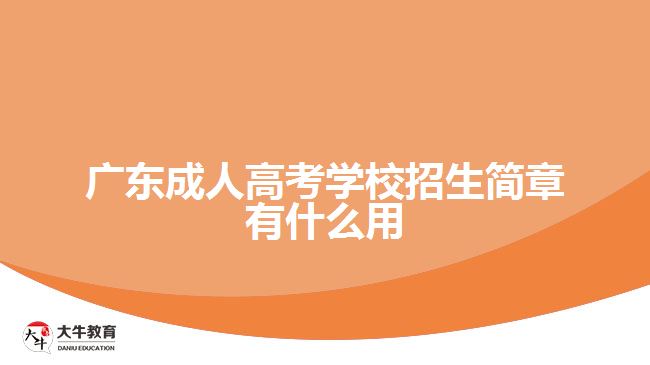 廣東成人高考學校招生簡章有什么用