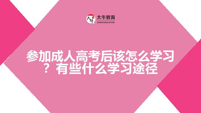 參加成人高考后該怎么學習？有些什么學習途徑