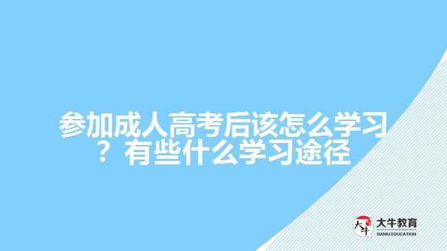 參加成人高考后該怎么學習？有些什么學習途徑