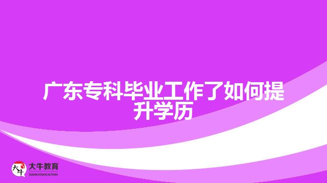 廣東?？飘厴I(yè)工作了如何提升學(xué)歷