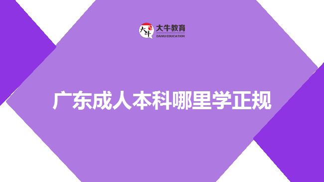 廣東成人本科哪里學(xué)正規(guī)