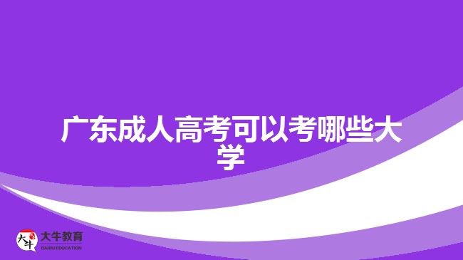 廣東成人高考可以考哪些大學(xué)