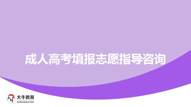 成人高考填報志愿指導咨詢