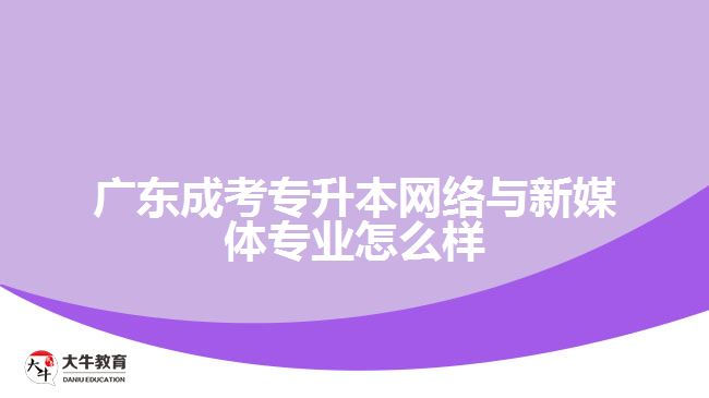 廣東成考專升本網(wǎng)絡與新媒體專業(yè)怎么樣