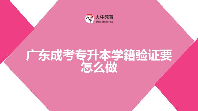 廣東成考專升本學籍驗證要怎么做