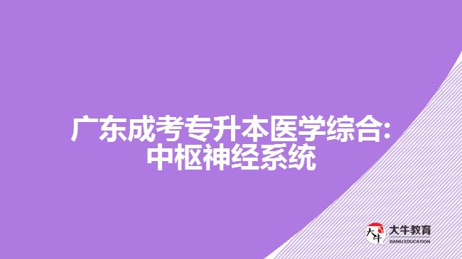 廣東成考專升本醫(yī)學(xué)綜合:中樞神經(jīng)系統(tǒng)