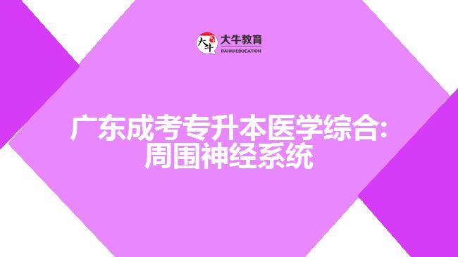 廣東成考專升本醫(yī)學(xué)綜合:周圍神經(jīng)系統(tǒng)