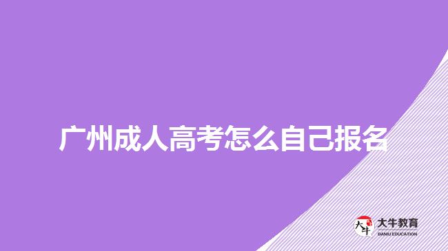 廣州成人高考怎么自己報名