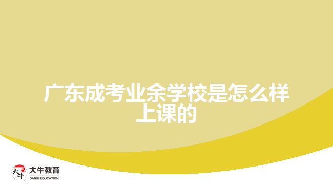 廣東成考業(yè)余學校是怎么樣上課的