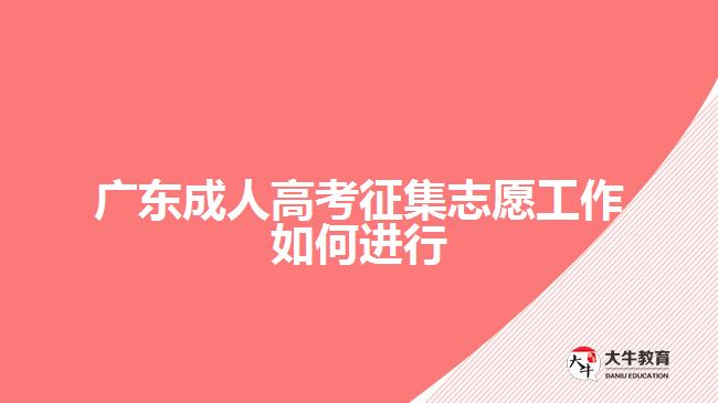 廣東成人高考征集志愿工作如何進行