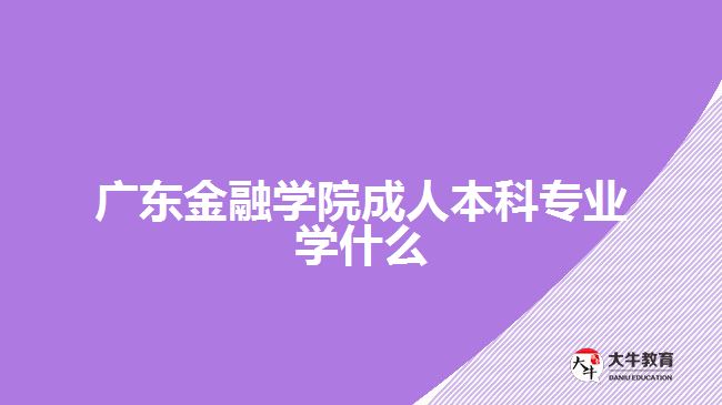 廣東金融學(xué)院成人本科專業(yè)學(xué)什么