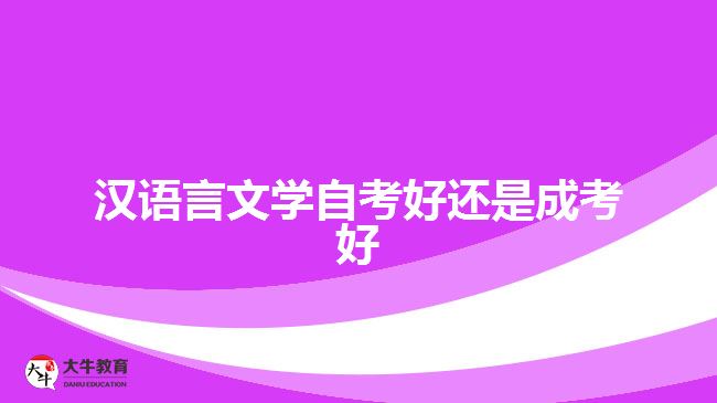 漢語(yǔ)言文學(xué)自考好還是成考好