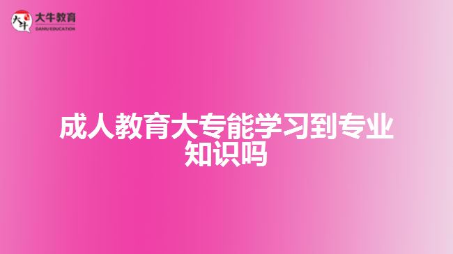 成人教育大專能學(xué)習(xí)到專業(yè)知識(shí)嗎