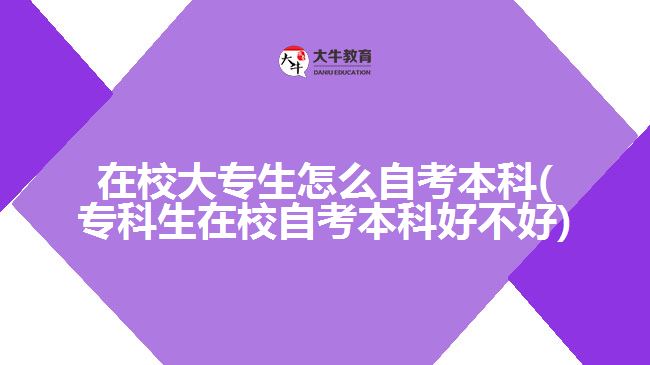 在校大專(zhuān)生怎么自考本科(專(zhuān)科生在校自考本科好不好)