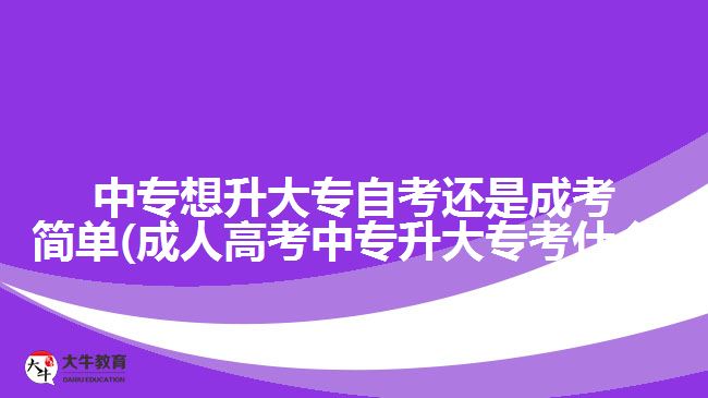 中專想升大專自考還是成考簡單(成人高考中專升大專考什么)