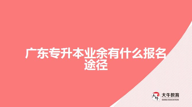 廣東專升本業(yè)余有什么報名途徑