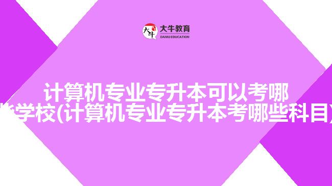 計算機專業(yè)專升本可以考哪些學(xué)校(計算機專業(yè)專升本考哪些科目)