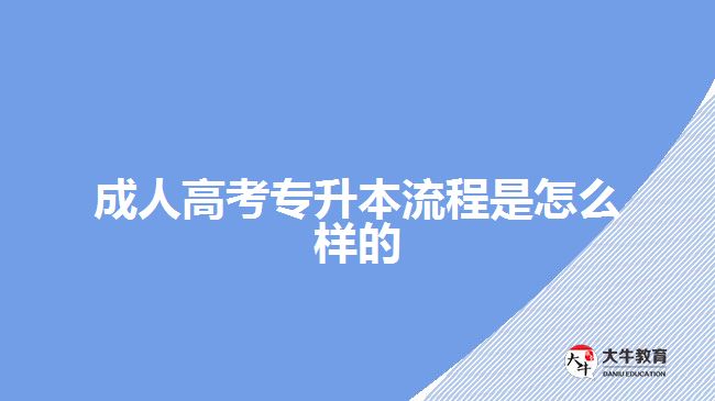 成人高考專升本流程是怎么樣的