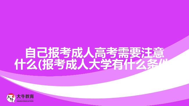 自己報(bào)考成人高考需要注意什么(報(bào)考成人大學(xué)有什么條件)