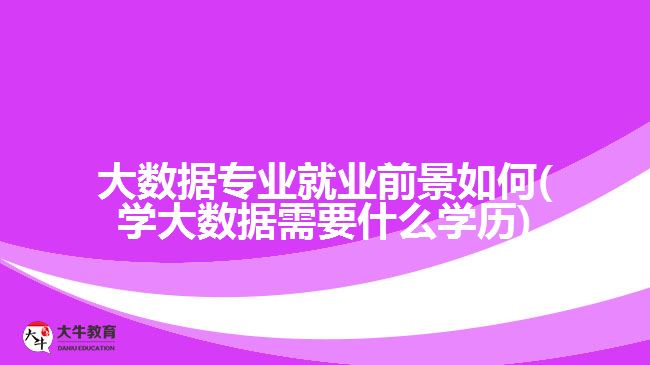 大數(shù)據(jù)專業(yè)就業(yè)前景如何(學大數(shù)據(jù)需要什么學歷)