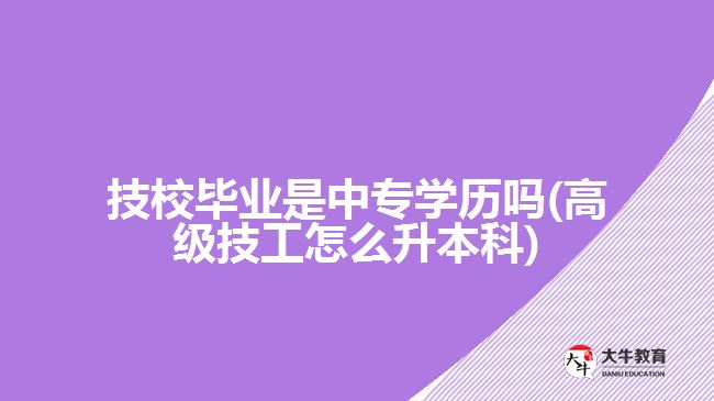 技校畢業(yè)是中專學(xué)歷嗎(高級技工怎么升本科)