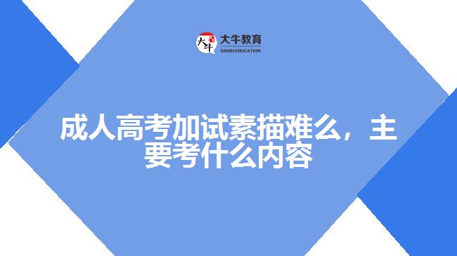 成人高考加試素描難么，主要考什么內(nèi)容