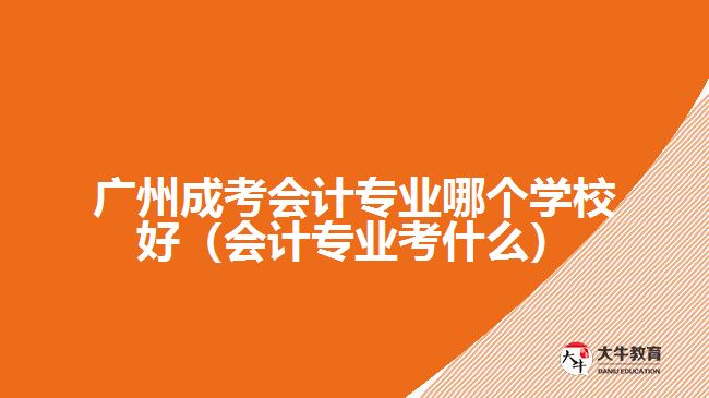 廣州成考會(huì)計(jì)專業(yè)哪個(gè)學(xué)校好（會(huì)計(jì)專業(yè)考什么）