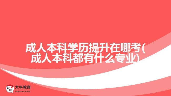 成人本科學(xué)歷提升在哪考(成人本科都有什么專業(yè))