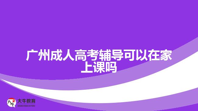 廣州成人高考輔導(dǎo)可以在家上課嗎