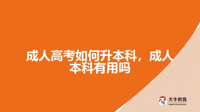 成人高考如何升本科，成人本科有用嗎