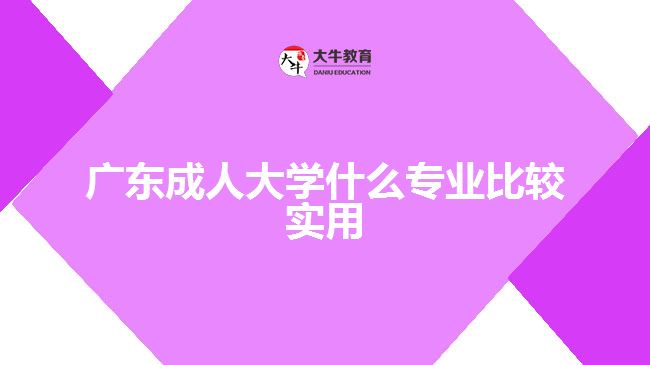 廣東成人大學什么專業(yè)比較實用