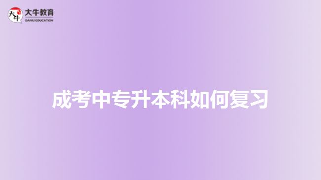 成考中專升本科如何復(fù)習(xí)