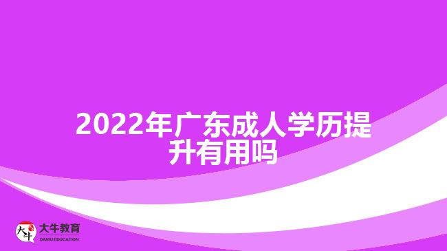 2022年廣東成人學(xué)歷提升有用嗎