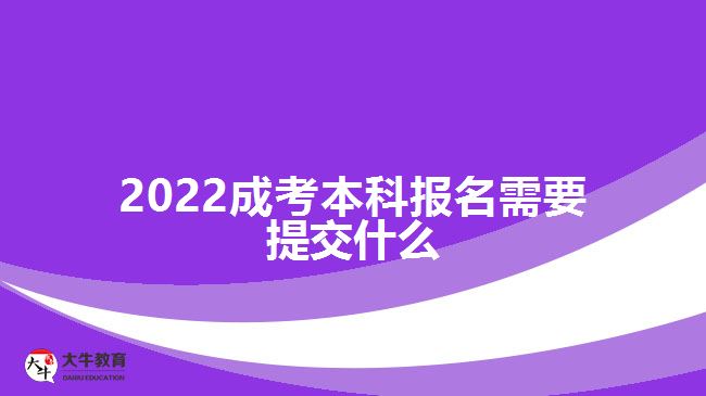 2022成考本科報名需要提交什么