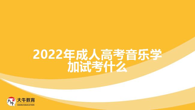 2022年成人高考音樂學加試考什么