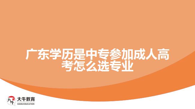 廣東學(xué)歷是中專參加成人高考怎么選專業(yè)