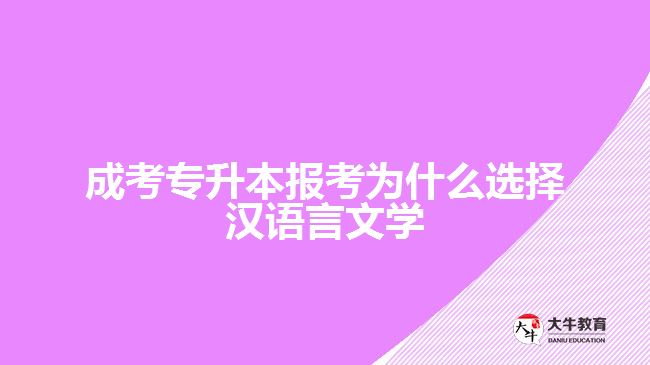 成考專升本報考為什么選擇漢語言文學(xué)