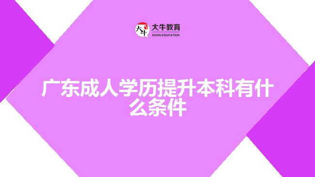 廣東成人學(xué)歷提升本科有什么條件