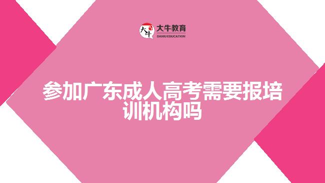 參加廣東成人高考需要報(bào)培訓(xùn)機(jī)構(gòu)嗎