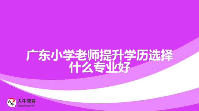 廣東小學老師提升學歷選擇什么專業(yè)好