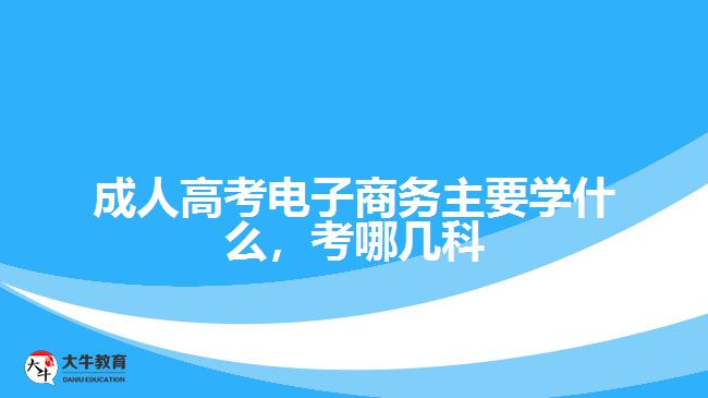 成人高考電子商務(wù)主要學(xué)什么