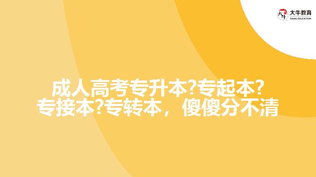 成人高考專升本?專起本?專接本?專轉(zhuǎn)本，傻傻分不清