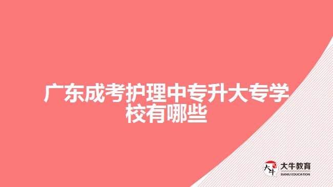 廣東成考護理中專升大專學(xué)校有哪些